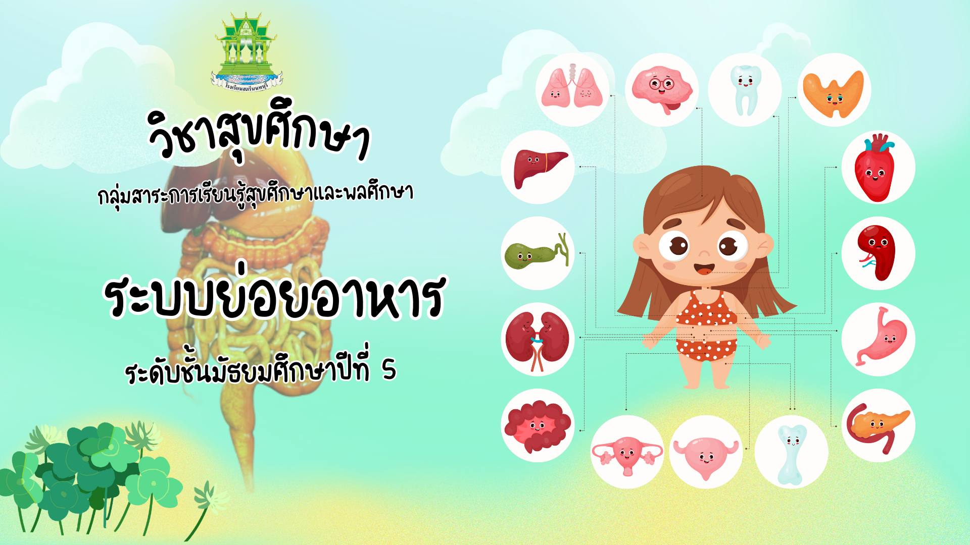 วิชาสุขศึกษาและพลศึกษา ม.5