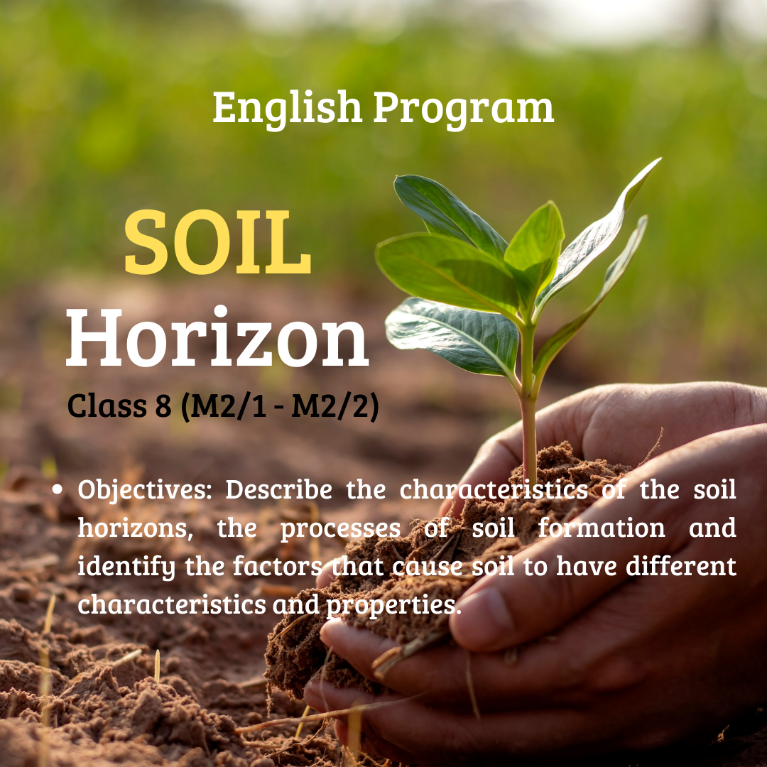 Soil Horizon